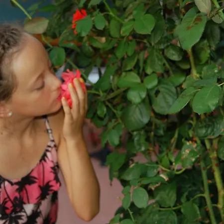 Alajbeg Lejlighed Trogir