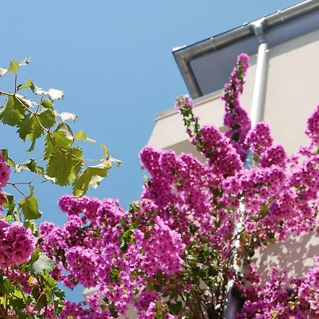 Apartment Alajbeg Trogir
