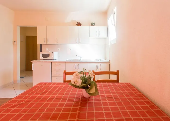 알라이베그 * 트로기르