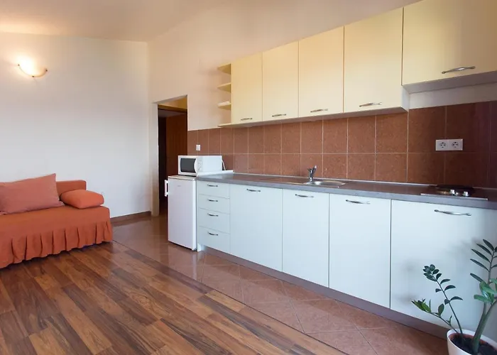 알라이베그 * 트로기르