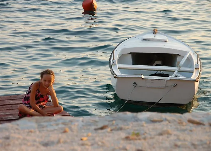 알라이베그 * 트로기르