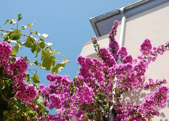 아파트 알라이베그 트로기르